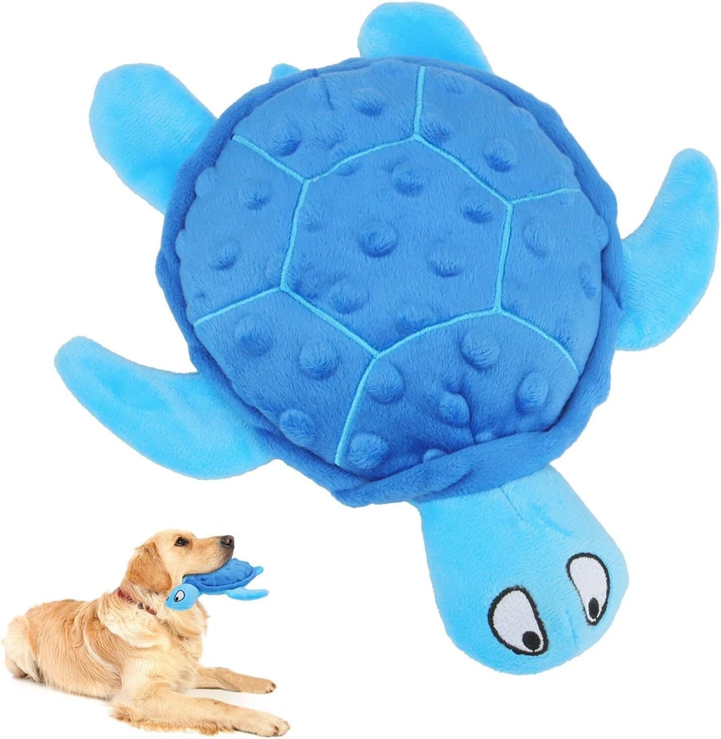 Rio’s Turtle Toy