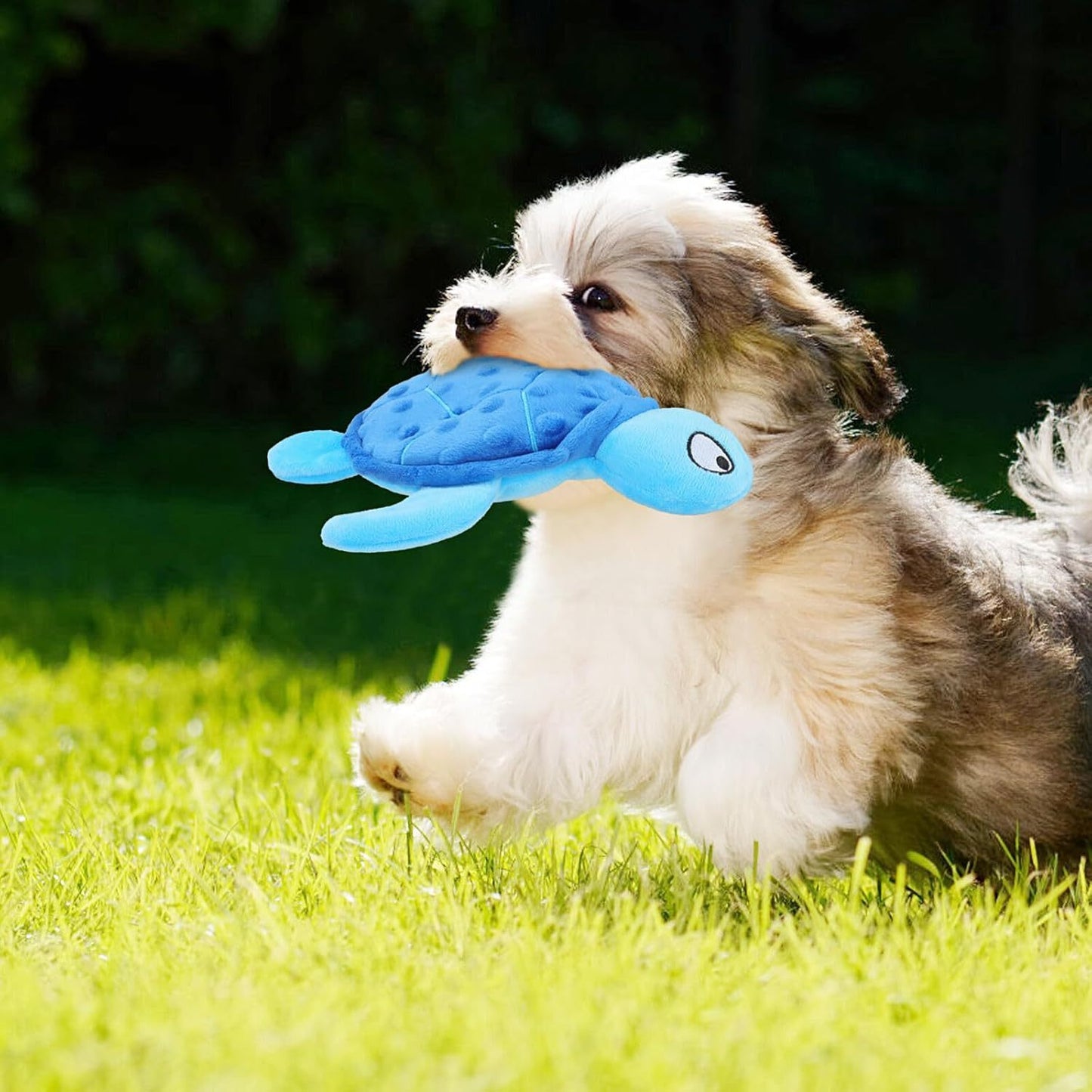 Rio’s Turtle Toy