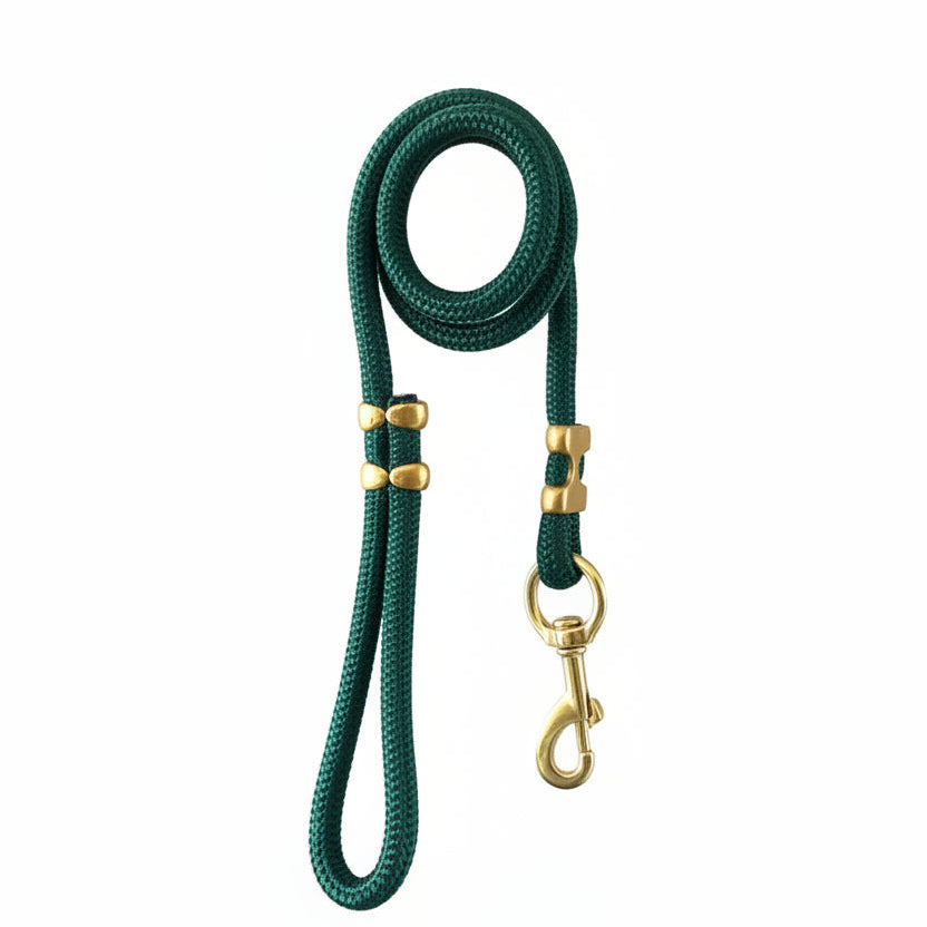 Rio’s City Walk Leash