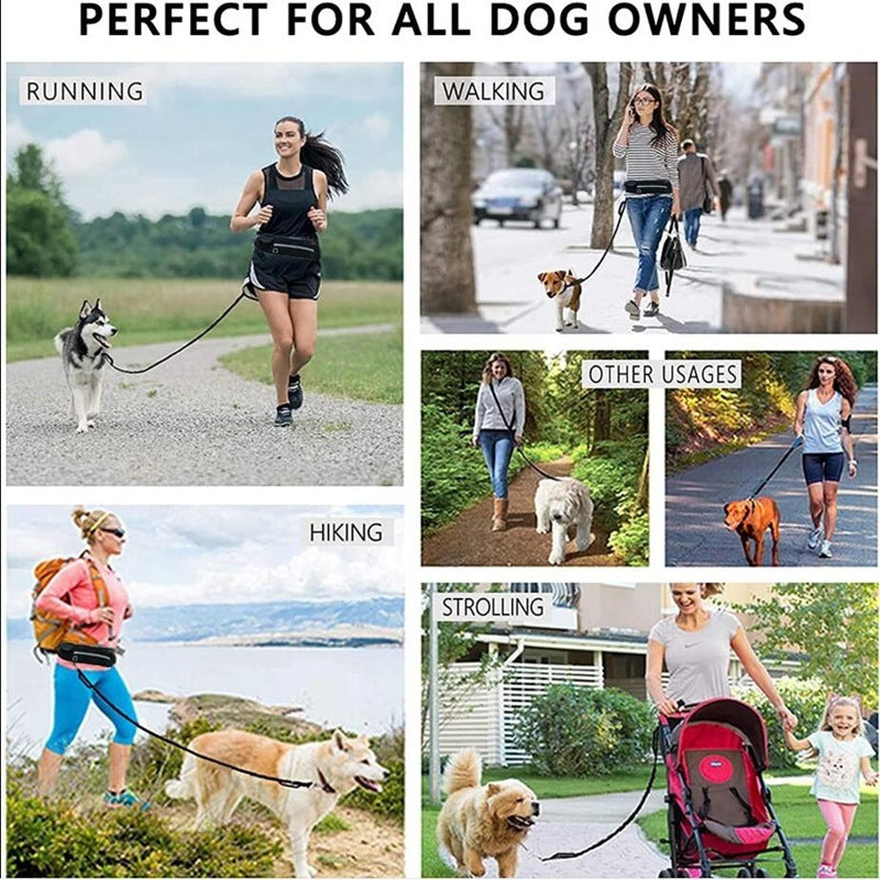 Rio’s Lazy Walker Leash
