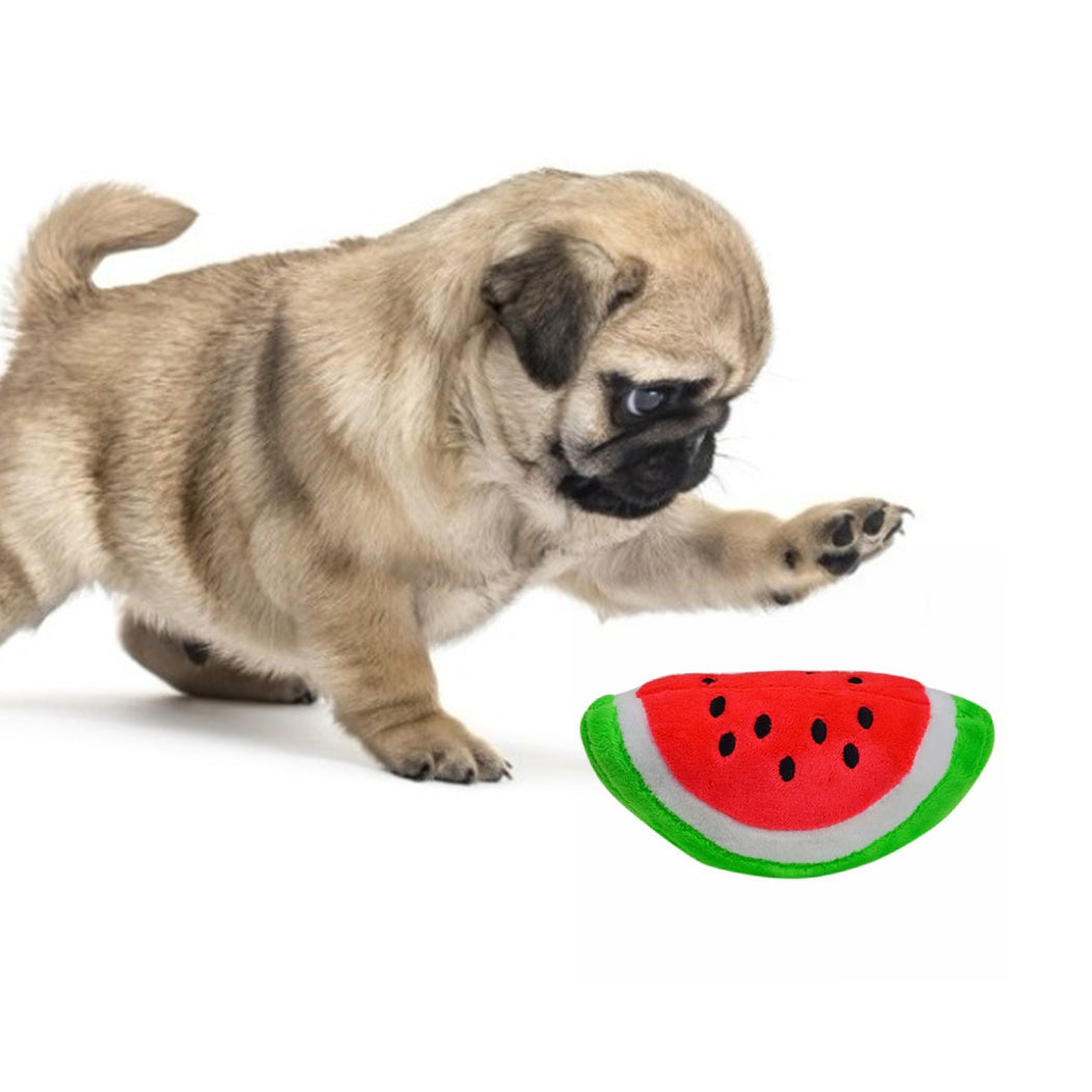 Rio’s Cartoon Pet Toys