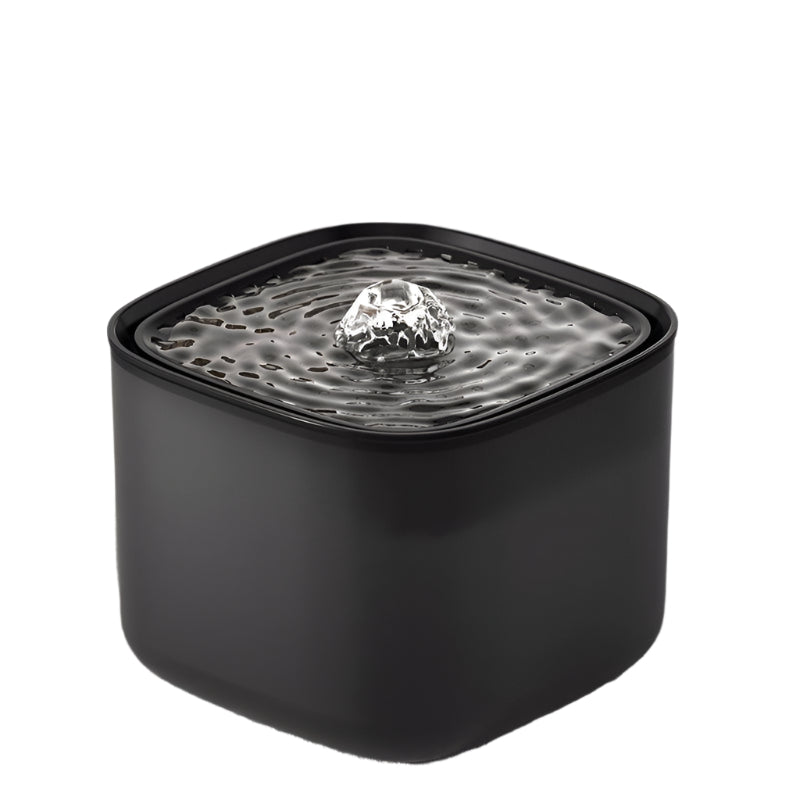Rio's Water Fountain