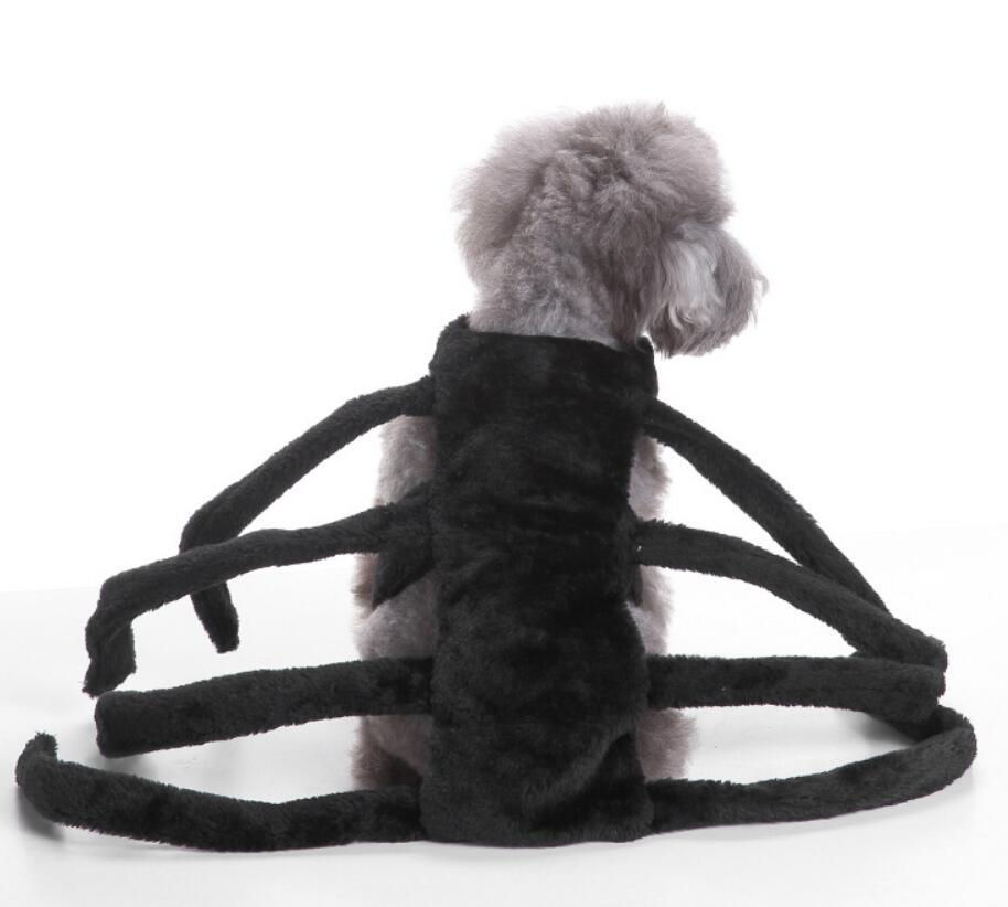 Spider-Rio: Into the Cuteness-Verse