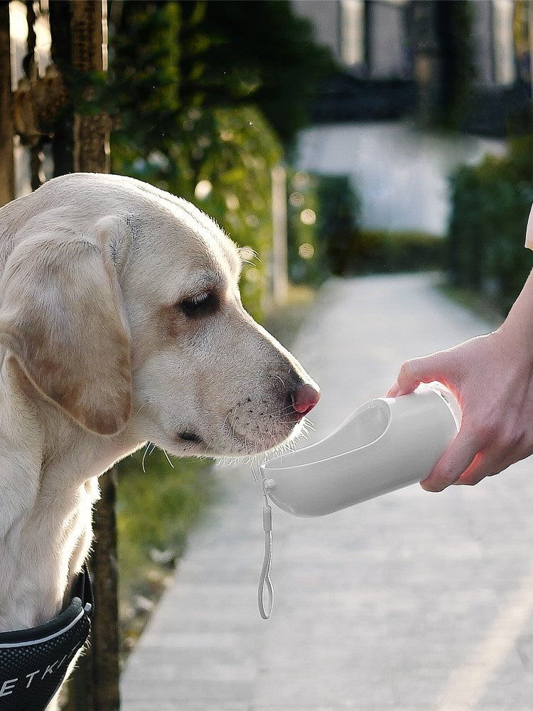 Rio’s Portable Fountain