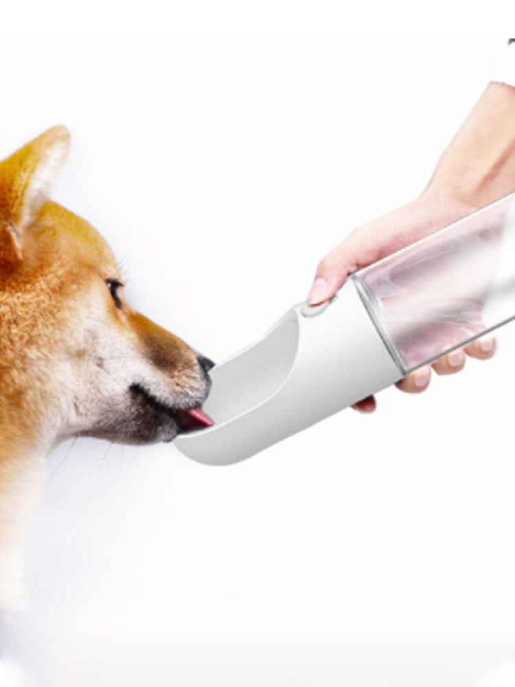 Rio’s Portable Fountain