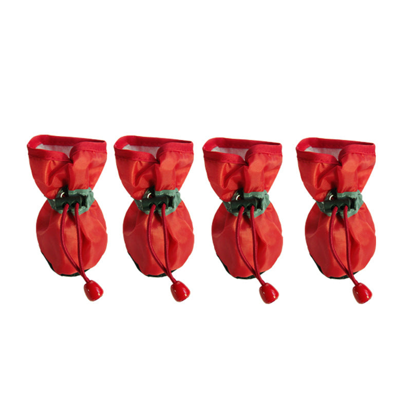 Rio’s Everyday Paw