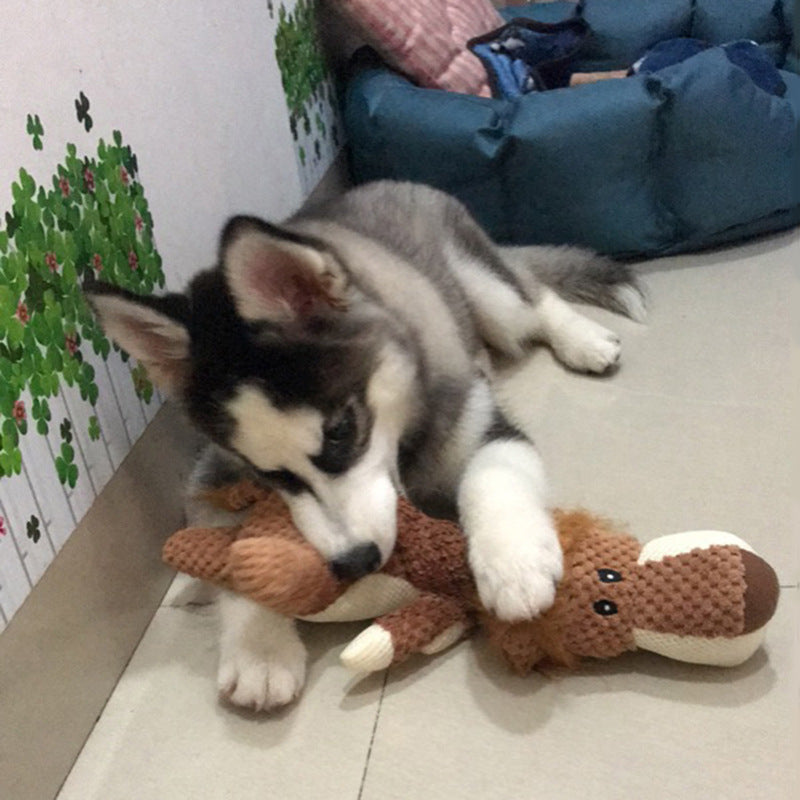 Rio’s Bite-Me Buddy