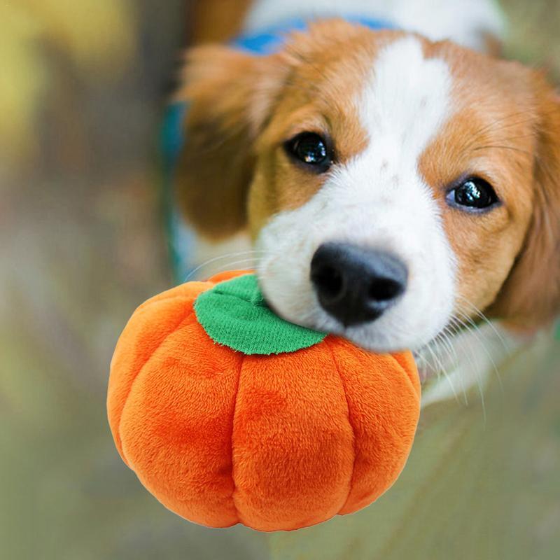 Rio’s Cartoon Pet Toys