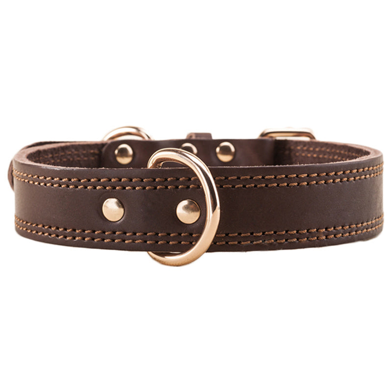 Rio’s Leather Collar