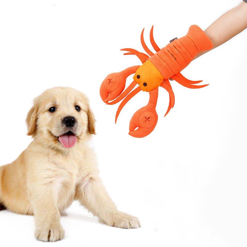 Rio’s Lobster Buddy