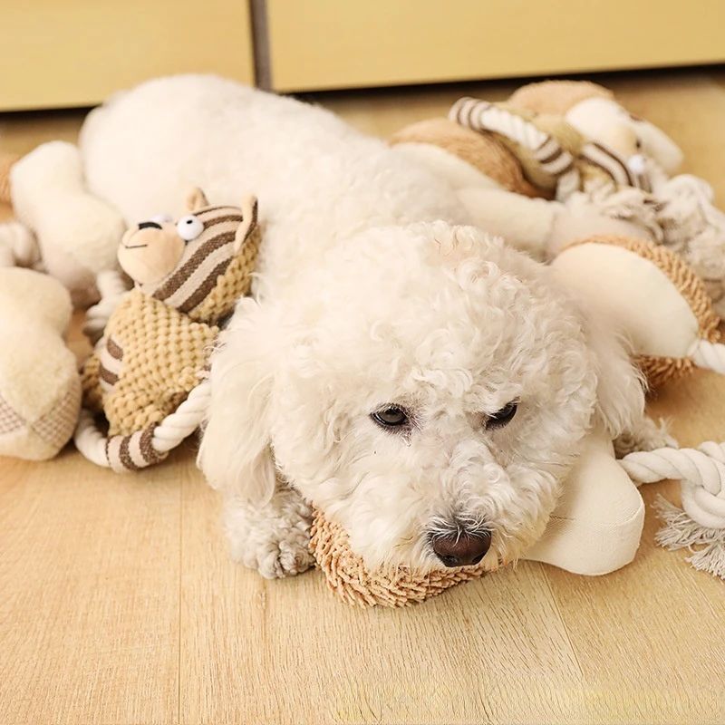 Rio vs. The Rope