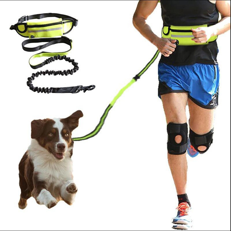 Rio’s Lazy Walker Leash