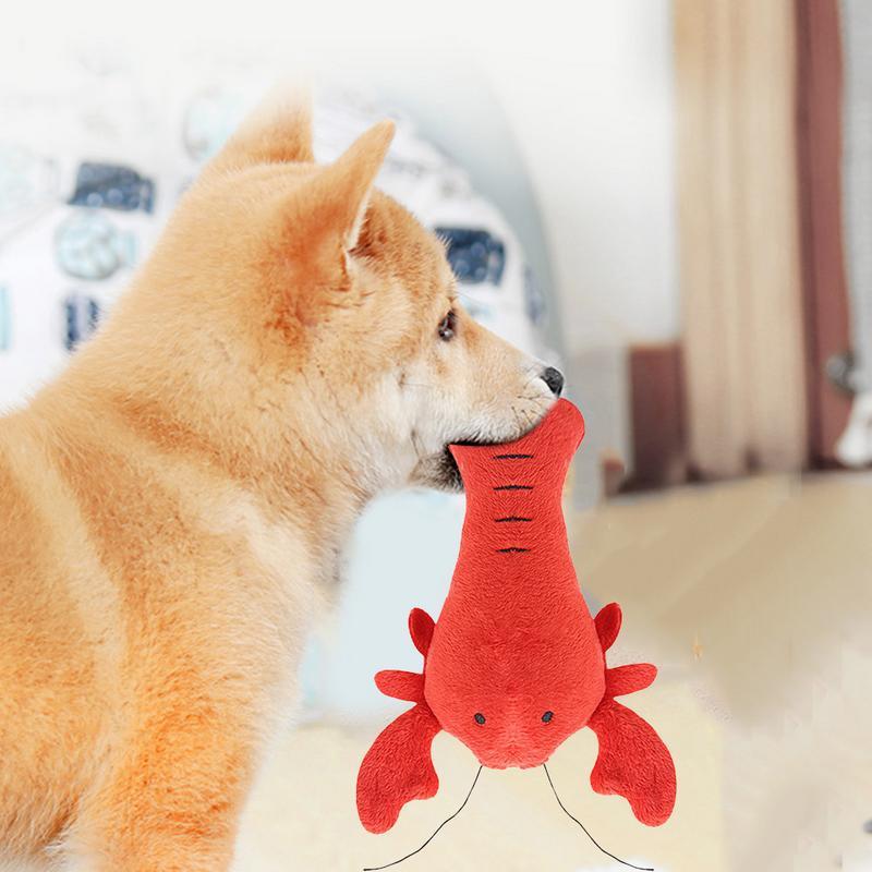 Rio’s Cartoon Pet Toys