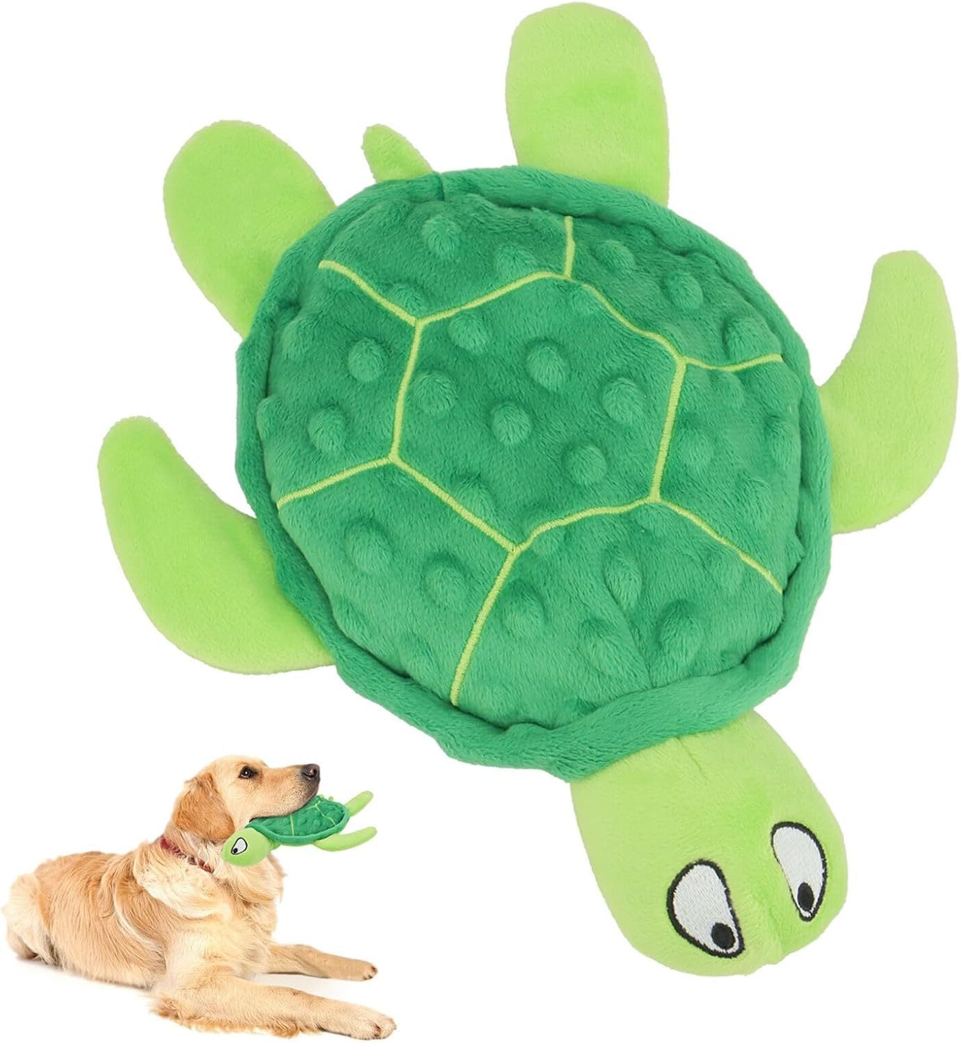 Rio’s Turtle Toy