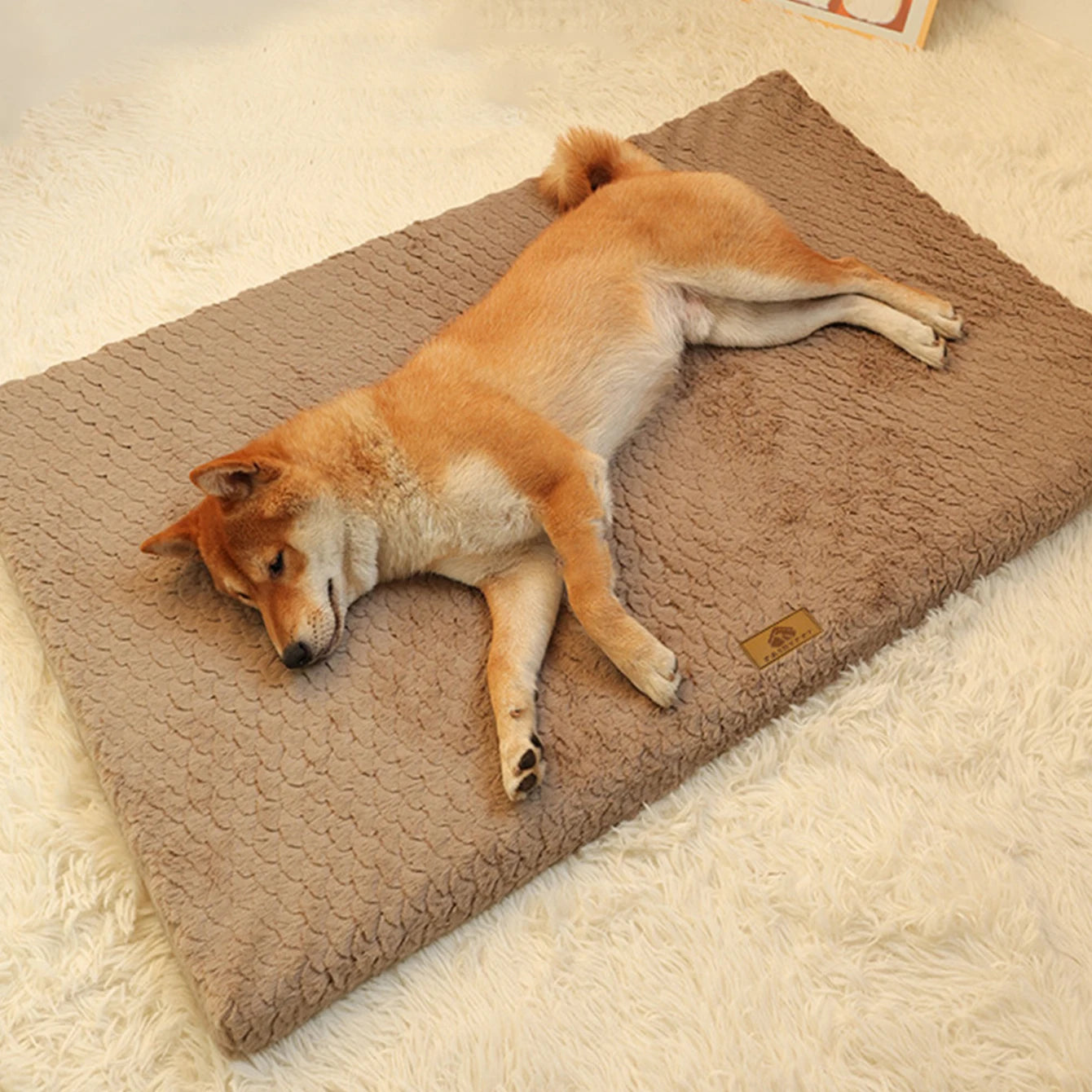Rio’s Cozy Corner