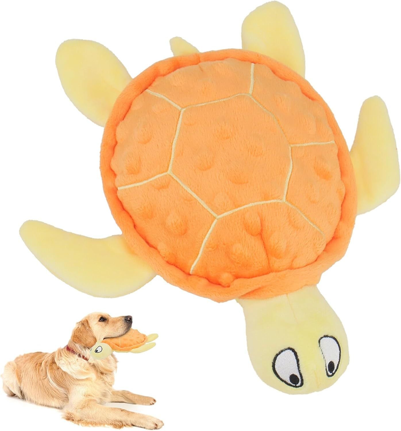 Rio’s Turtle Toy