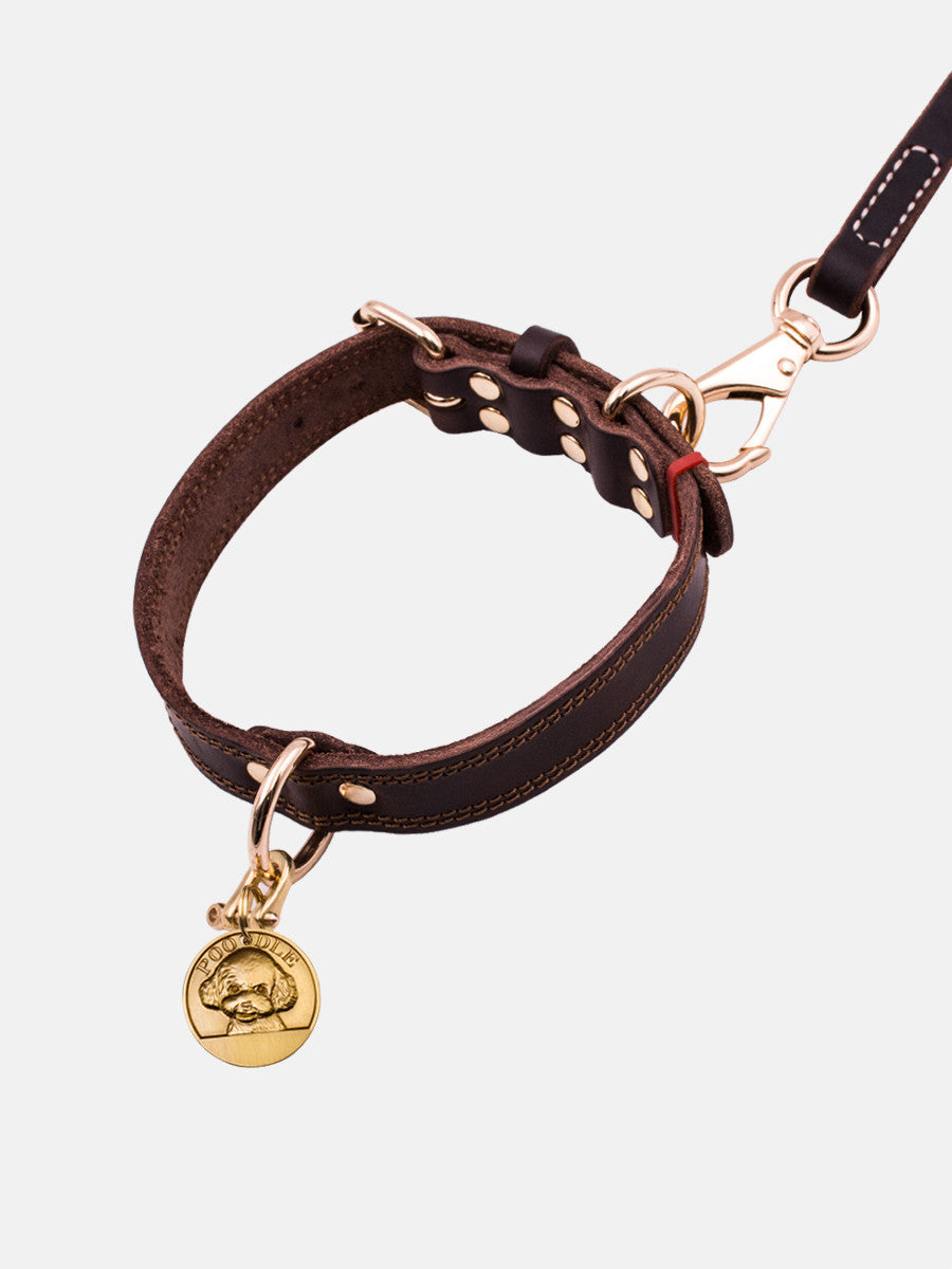 Rio’s Leather Collar