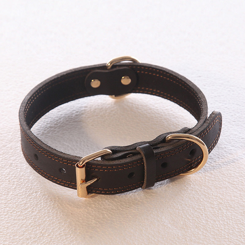 Rio’s Leather Collar