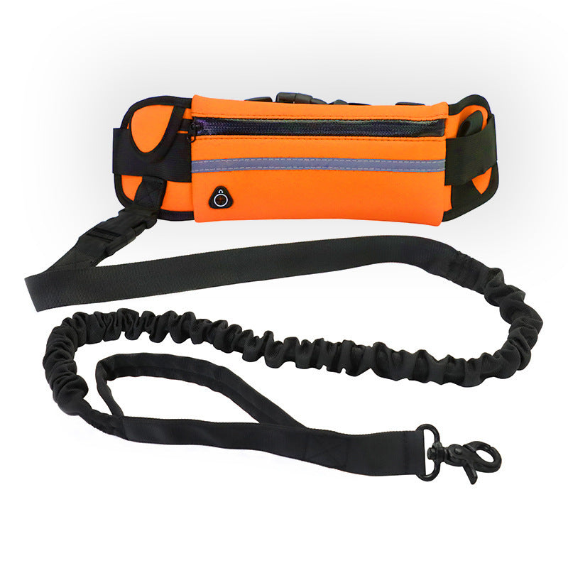 Rio’s Lazy Walker Leash