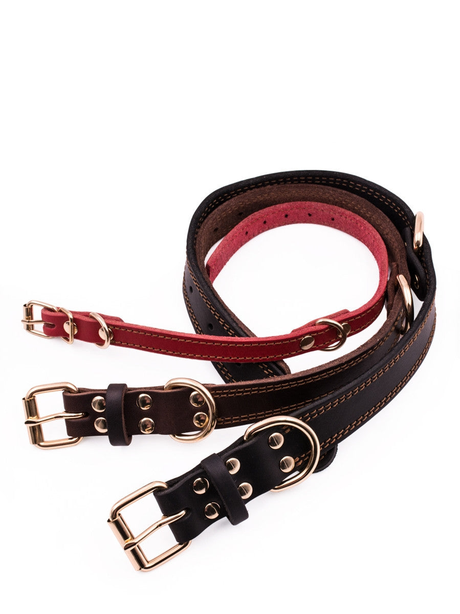 Rio’s Leather Collar