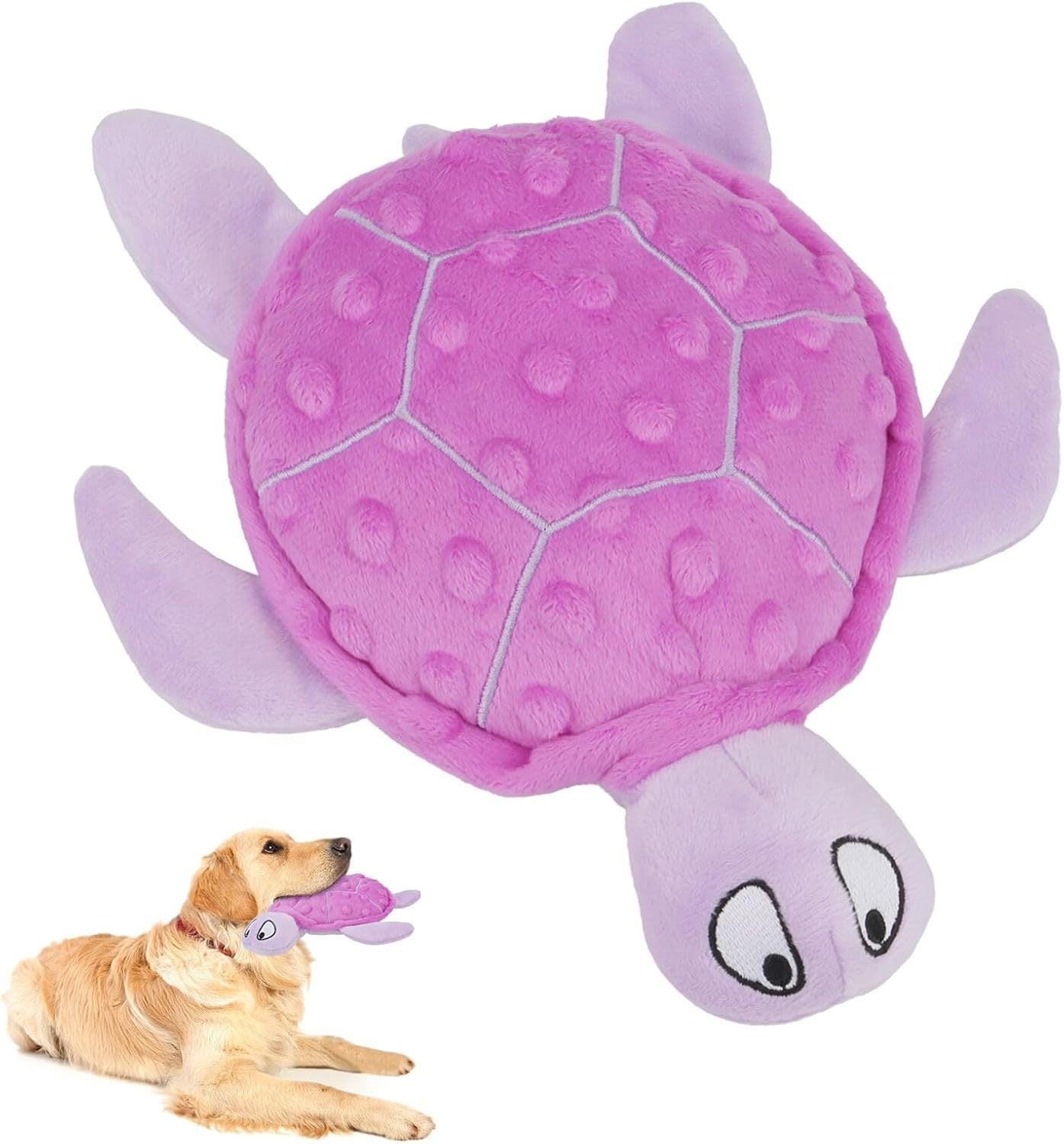 Rio’s Turtle Toy