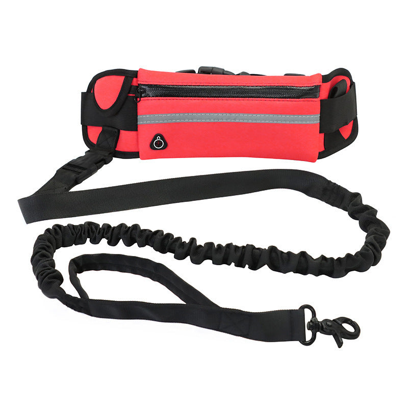 Rio’s Lazy Walker Leash