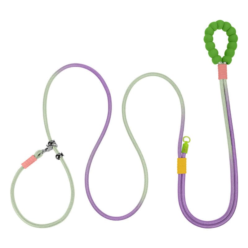 Crossbody Dog Leash: Walk Hands-Free & Keep Your Dog Safe