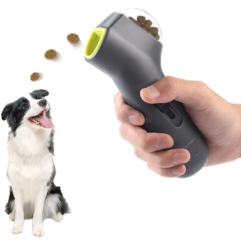 15 Ways to Keep Your Dog Entertained Indoors (No Yard Required)
