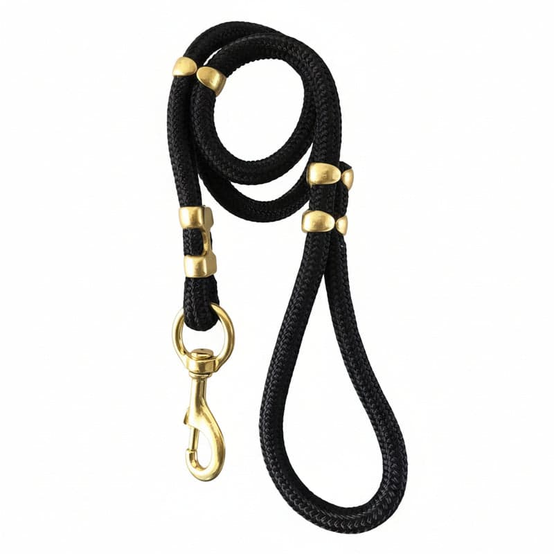 Best Dog Leashes 2026: Standard, Retractable & Training Leashes Compared