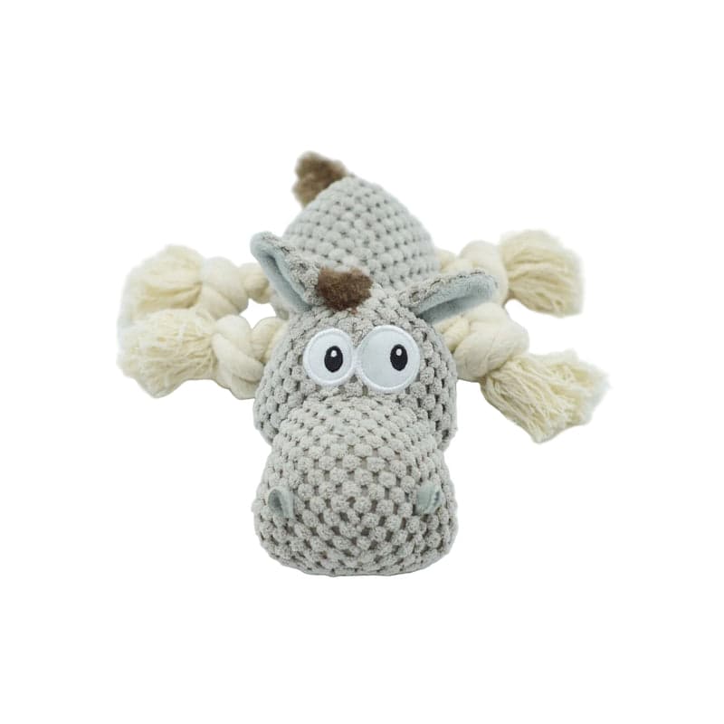 Rio's Gray Donkey