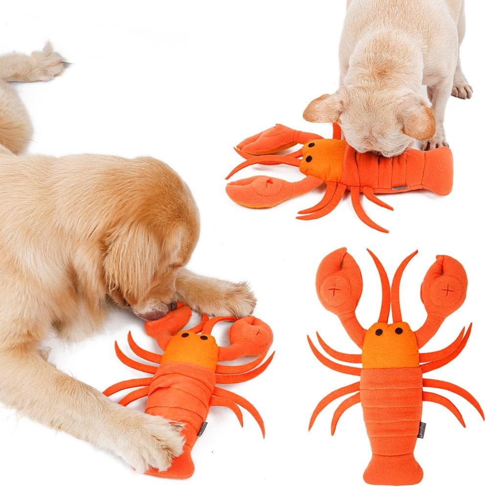 Rio's Lobster Buddy - Image 2