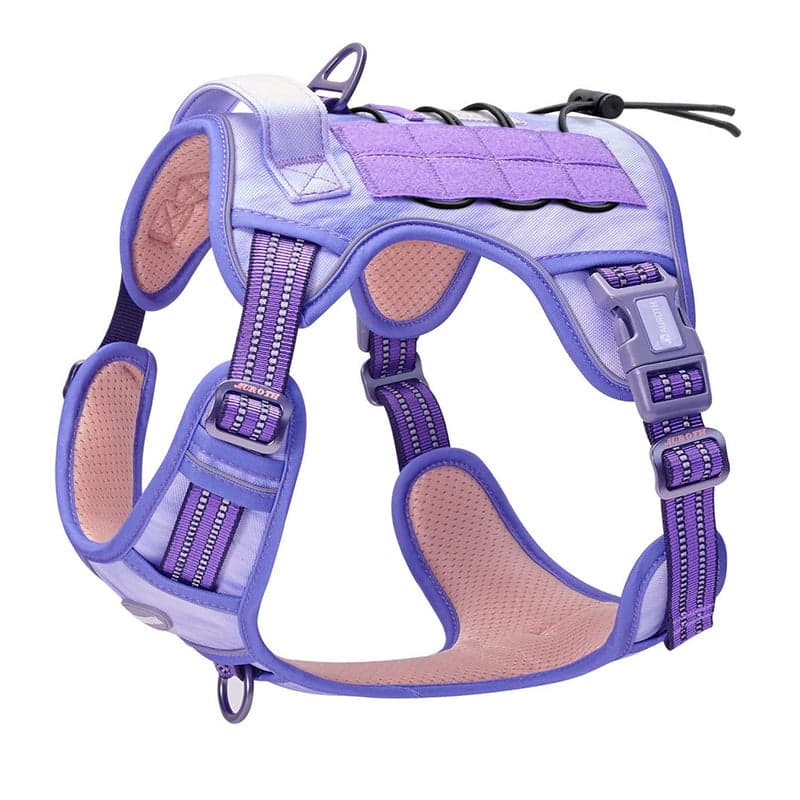 Rio's Tactical Harness & Leash