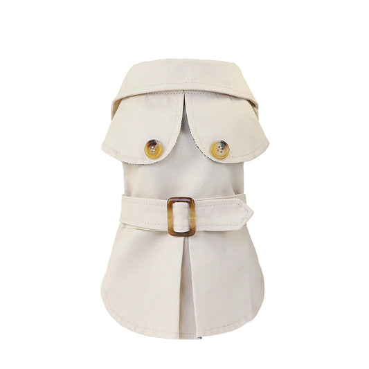 Rio’s Everyday Layer