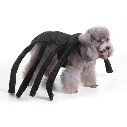 Spider-Rio: Into the Cuteness-Verse