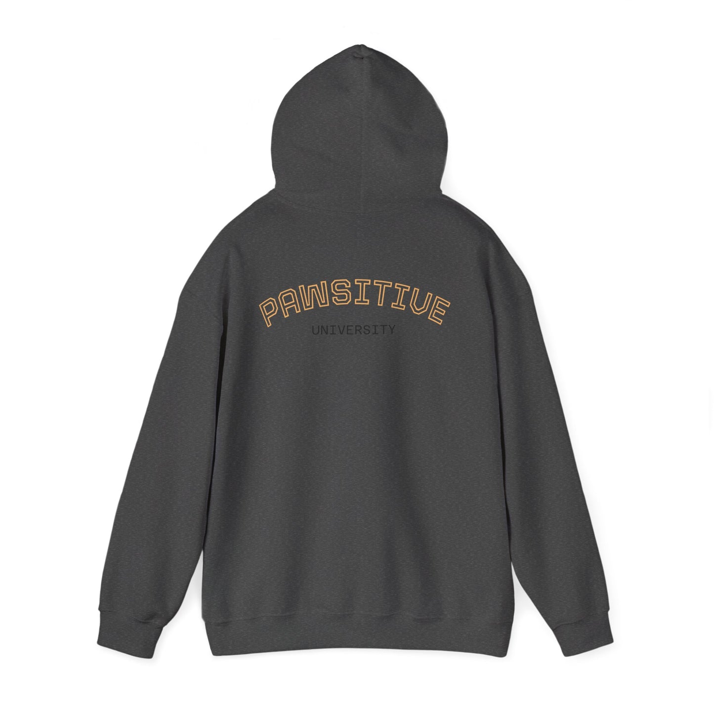 Pawsitive Embroidered Hoodie