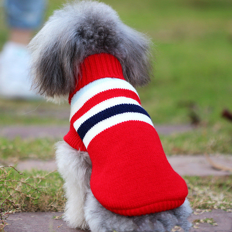 Rio’s Petite Pup Apparel