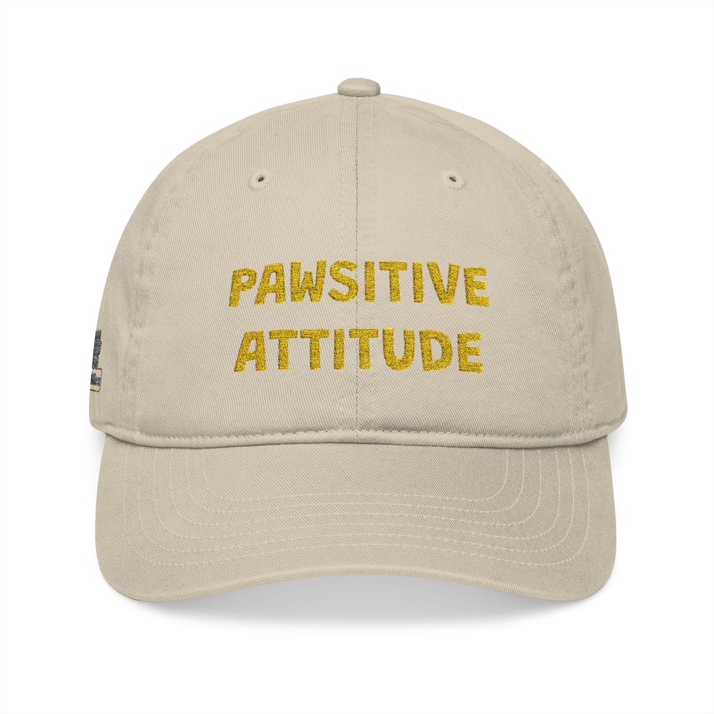 My human's Baseball Cap