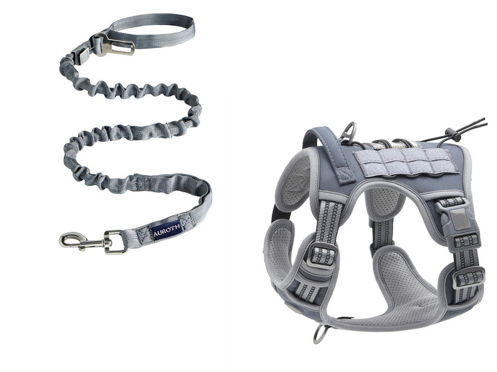 Rio’s Tactical Harness & Leash