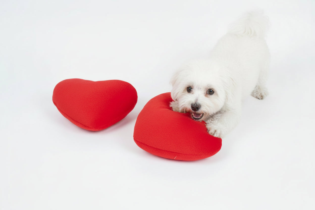 heart shaped plush dog toy