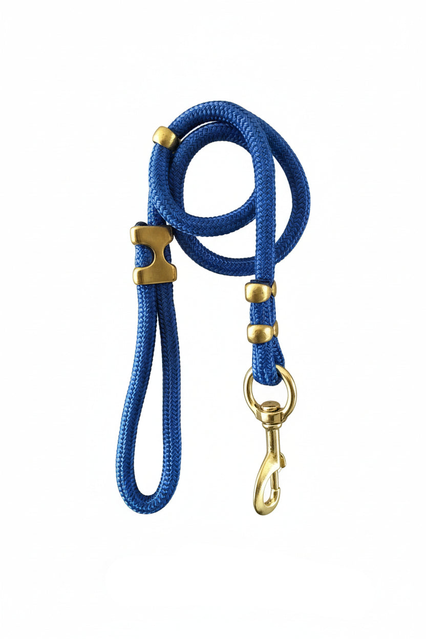 Rio’s City Walk Leash