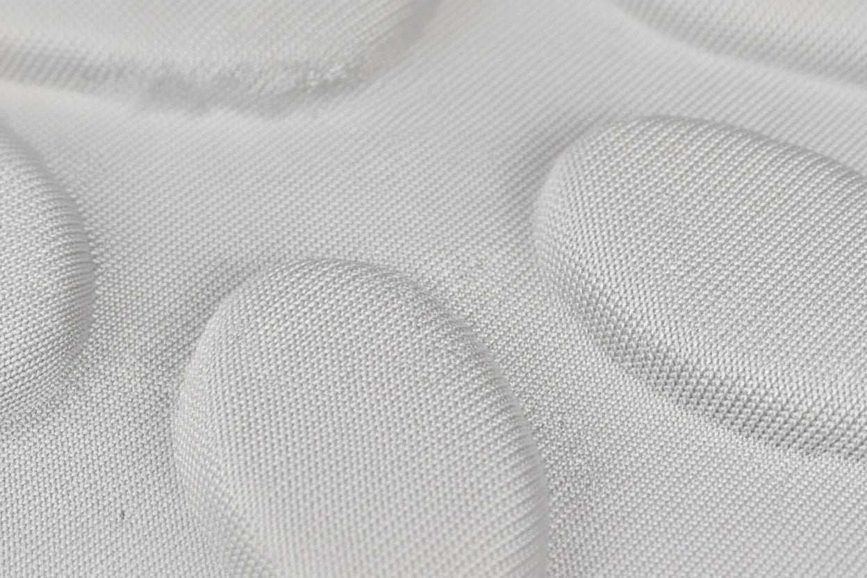 Rio’s Recovery Collar