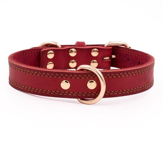 Rio’s Leather Collar