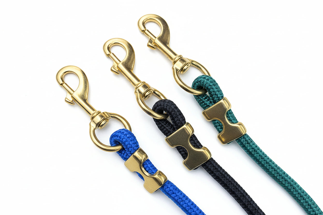 rio’s city walk leash nylon dog leash