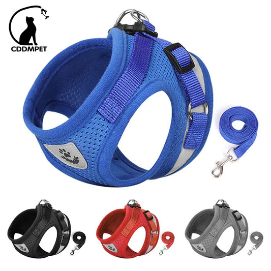 Rio’s Safety & Style Harness Set