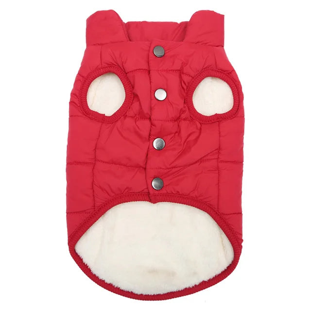 Rio’s Cozy Power Jacket