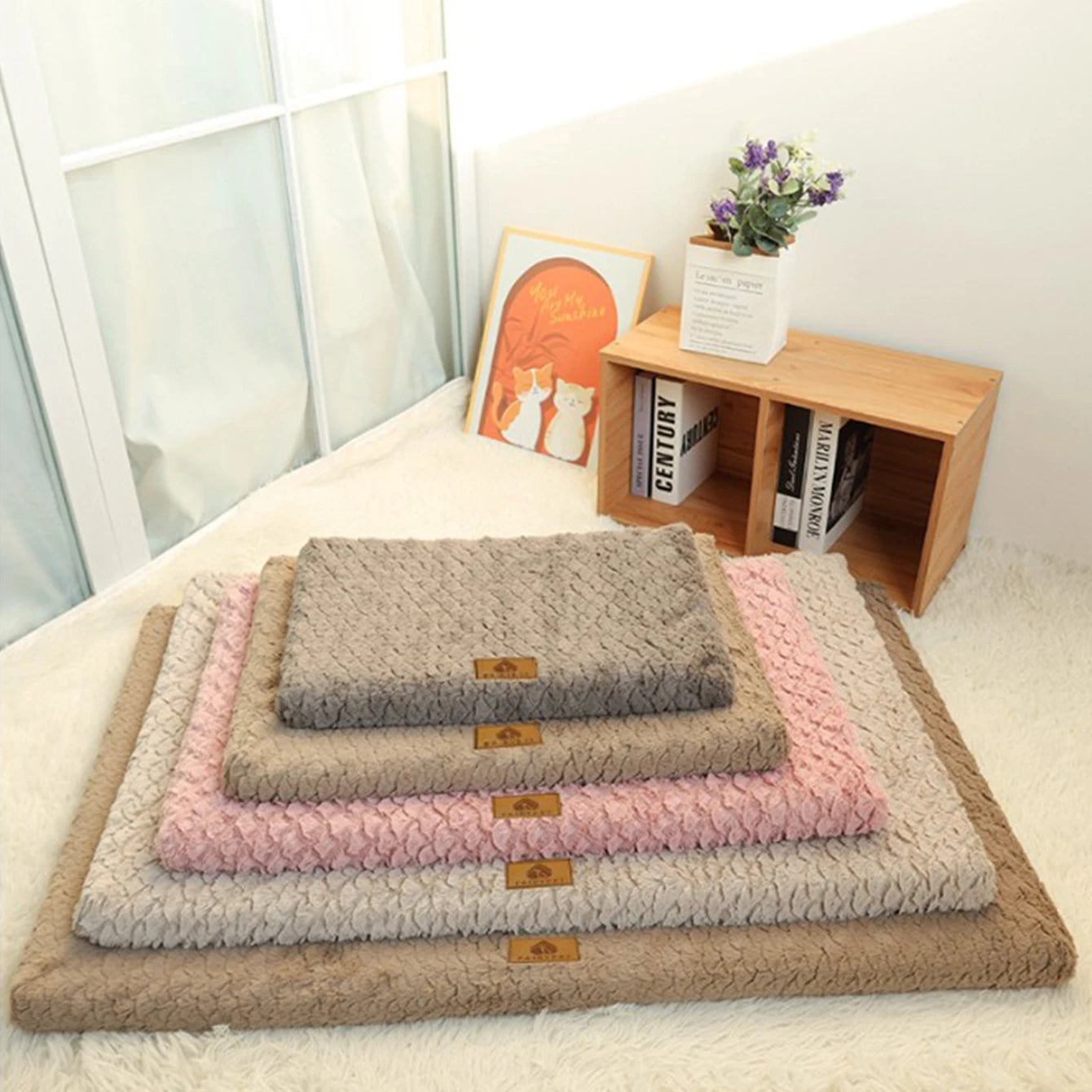 Rio’s Cozy Corner