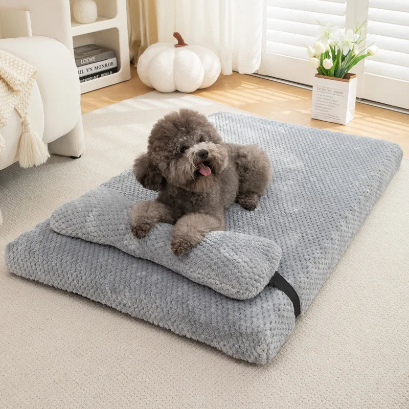 Rio’s Cozy Dream Bed