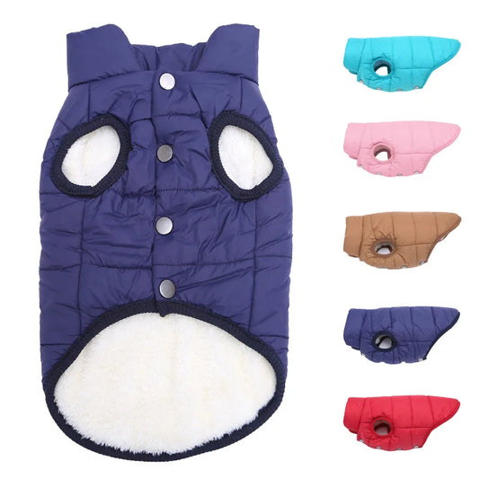Rio’s Cozy Power Jacket