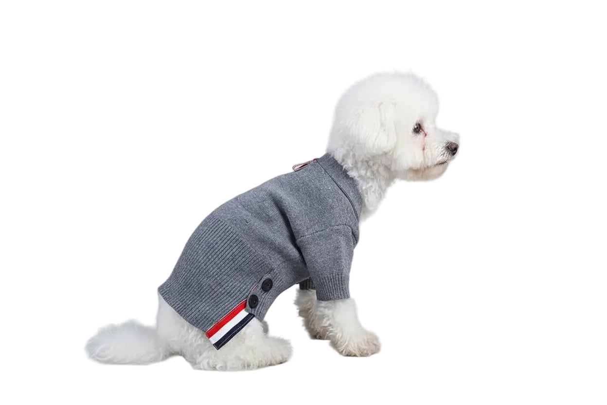 rio’s new york knit dog sweater