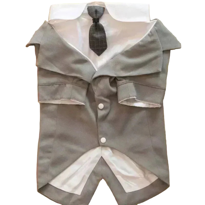 Rio’s Formal Paw Suit